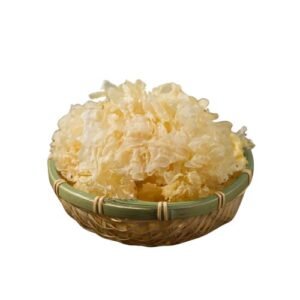 white fungus snow fungus